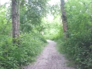 Cruising in the woods